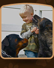 Happy Tails